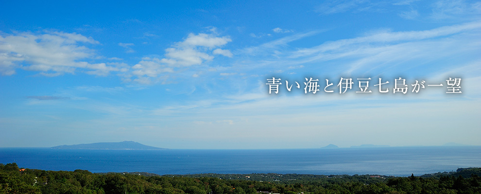 青い海と伊豆七島が一望
