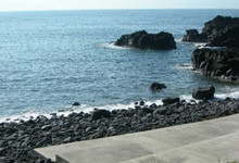 伊豆海洋公園